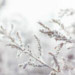 Winter Pressures: Strategies for ensuring effective staffing during seasonal surges